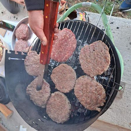 Vule Bungalovi Žabljak Εξωτερικό φωτογραφία